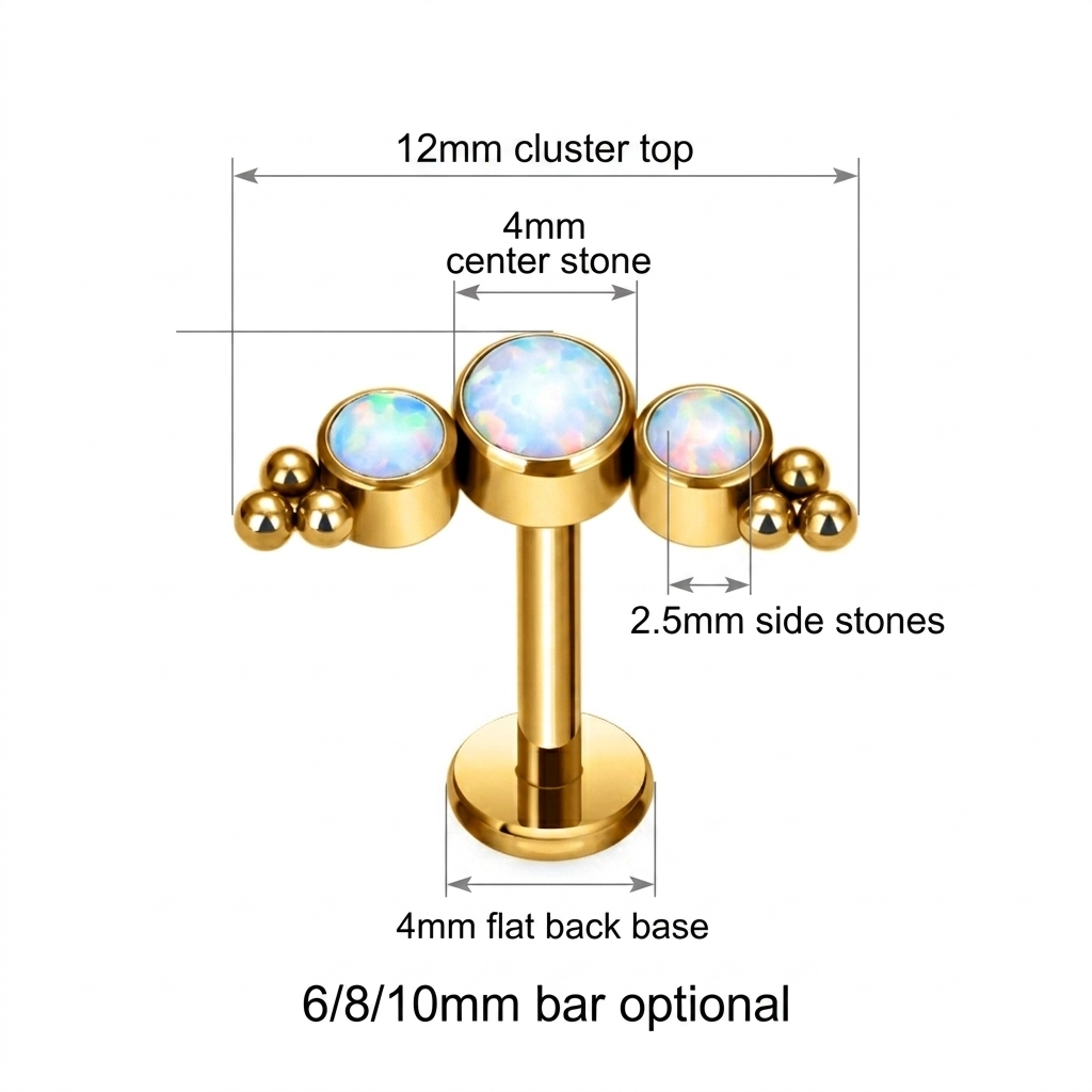 G23 Titanium Labret Cluster Ge - đánh giá và giá Mess Kit Titanium